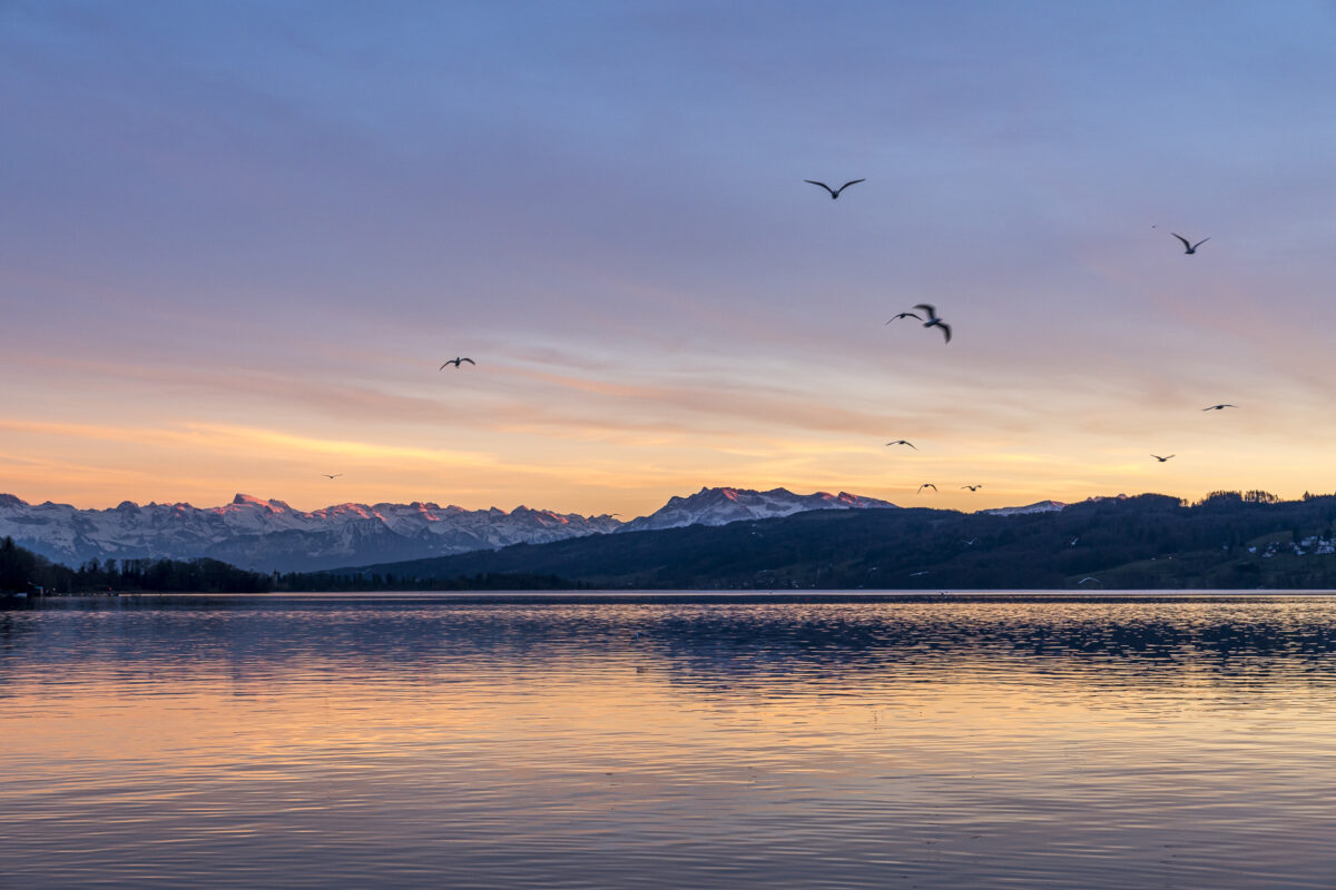 Hallwilersee Abendstimmung