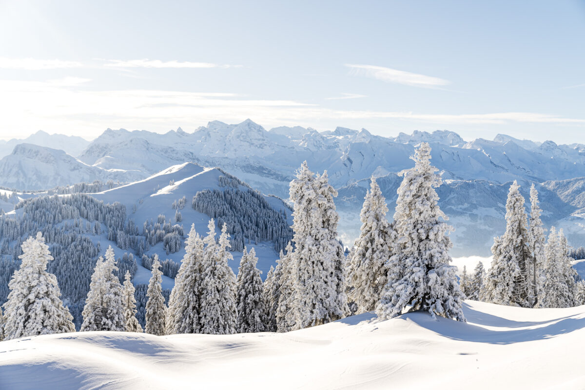 Winterpanorama Rigi