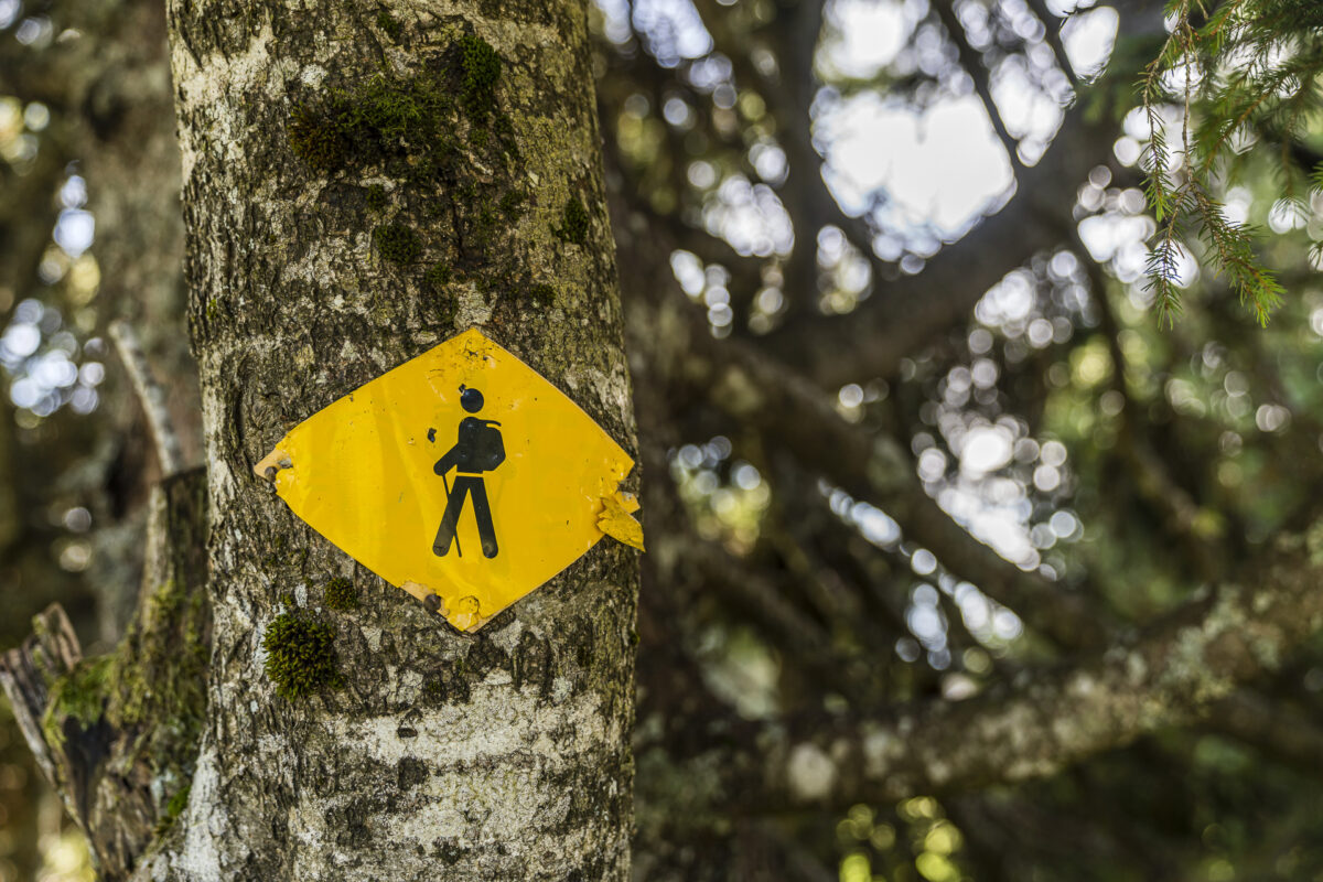 Wegweiser im Jura