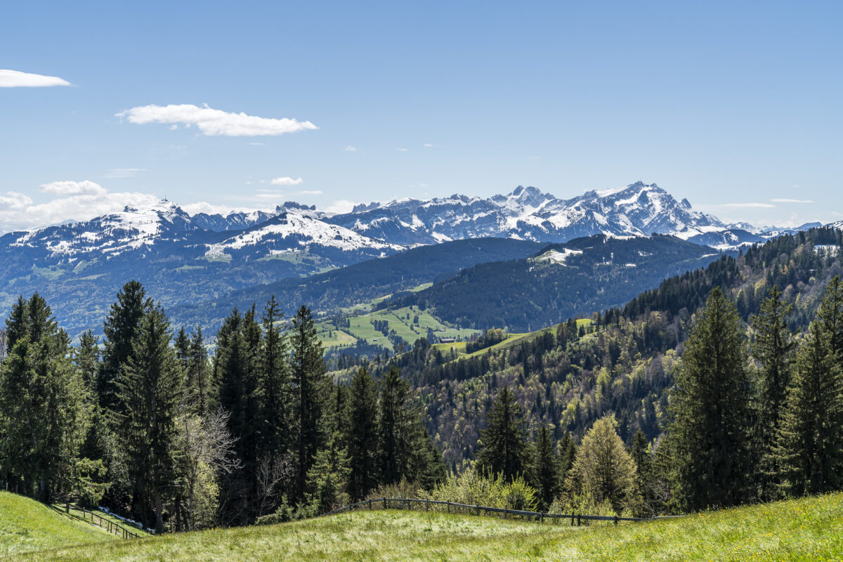Säntisblick