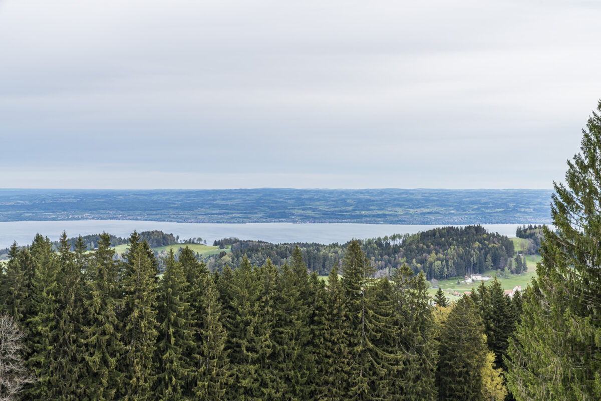 Bodenseeblick