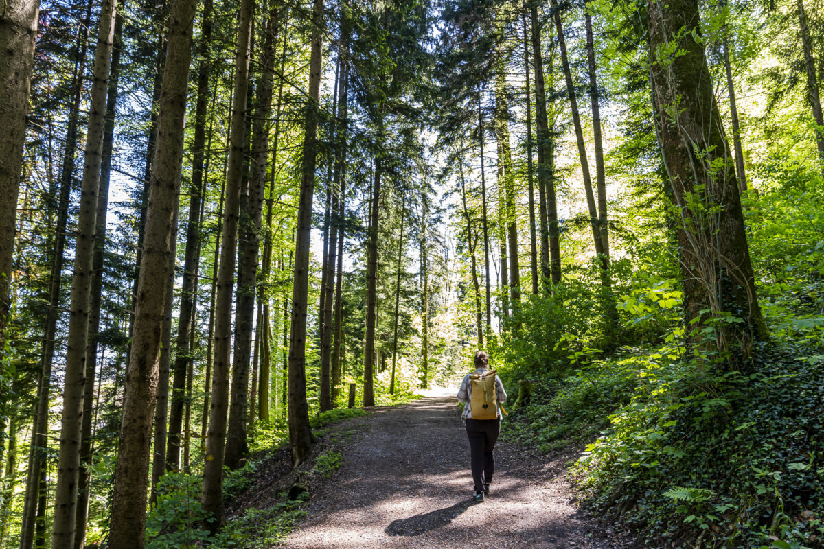 Wanderung von Berneck nach Balgach