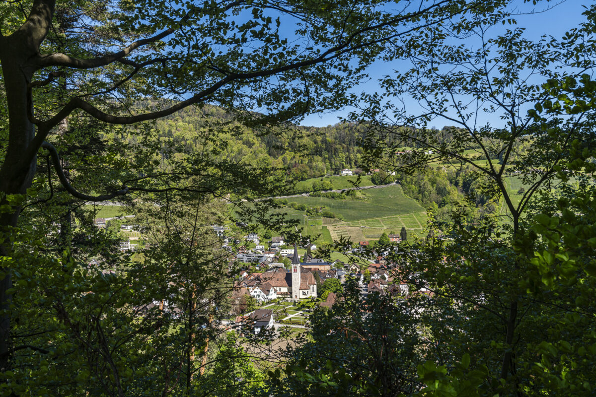 Blick auf Berneck