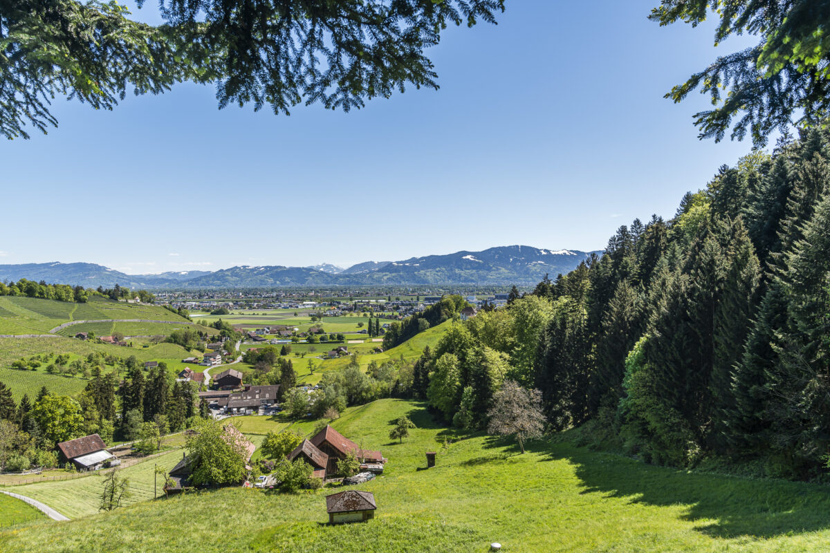 Rheintaler Höhenweg
