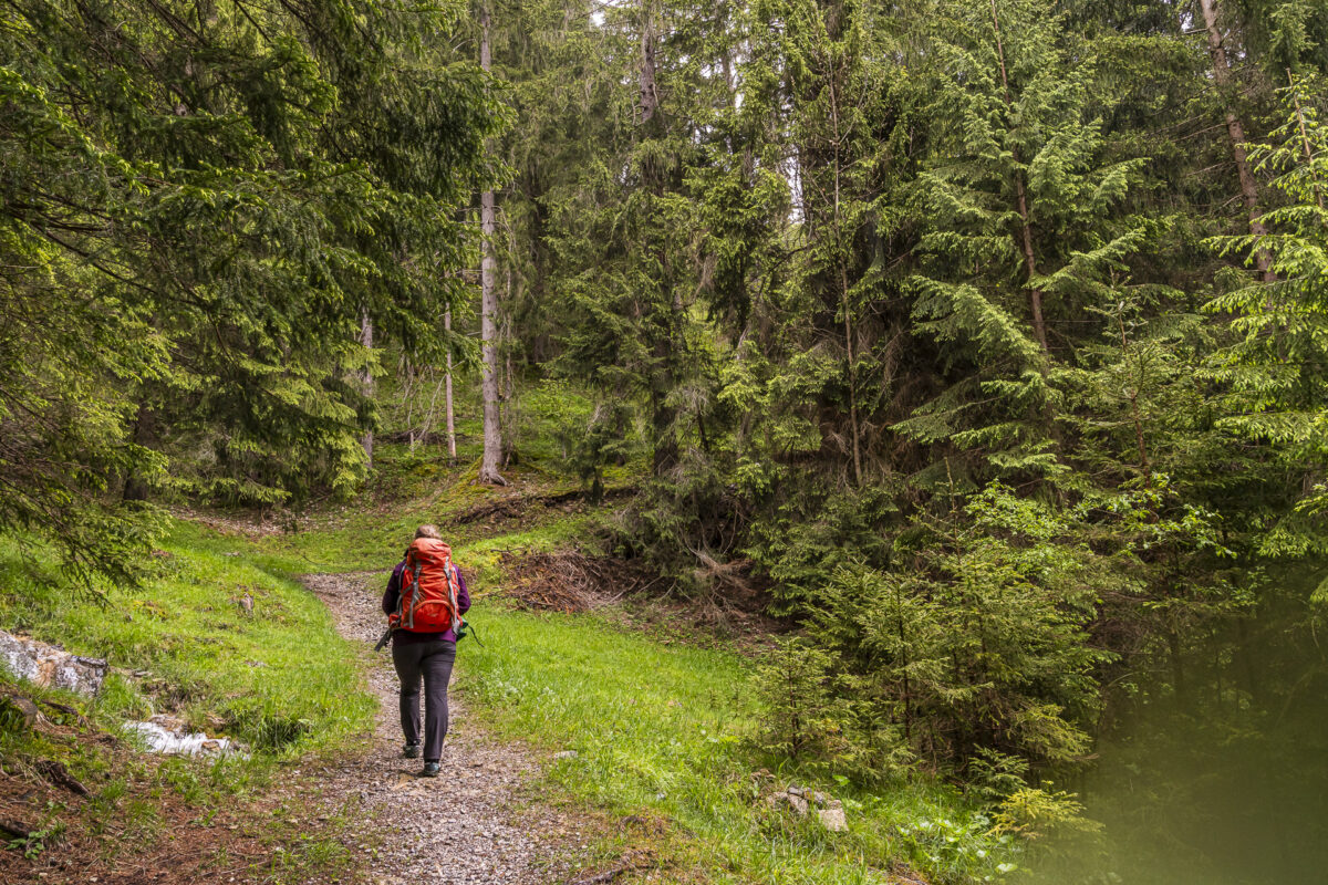 Wanderung Turbachtal