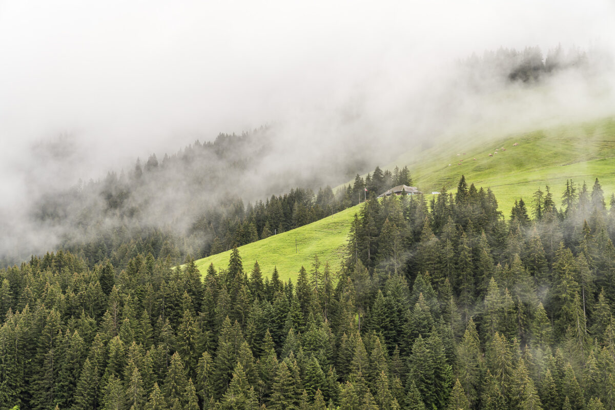 Zimmerausblick Berghotel zur Sau