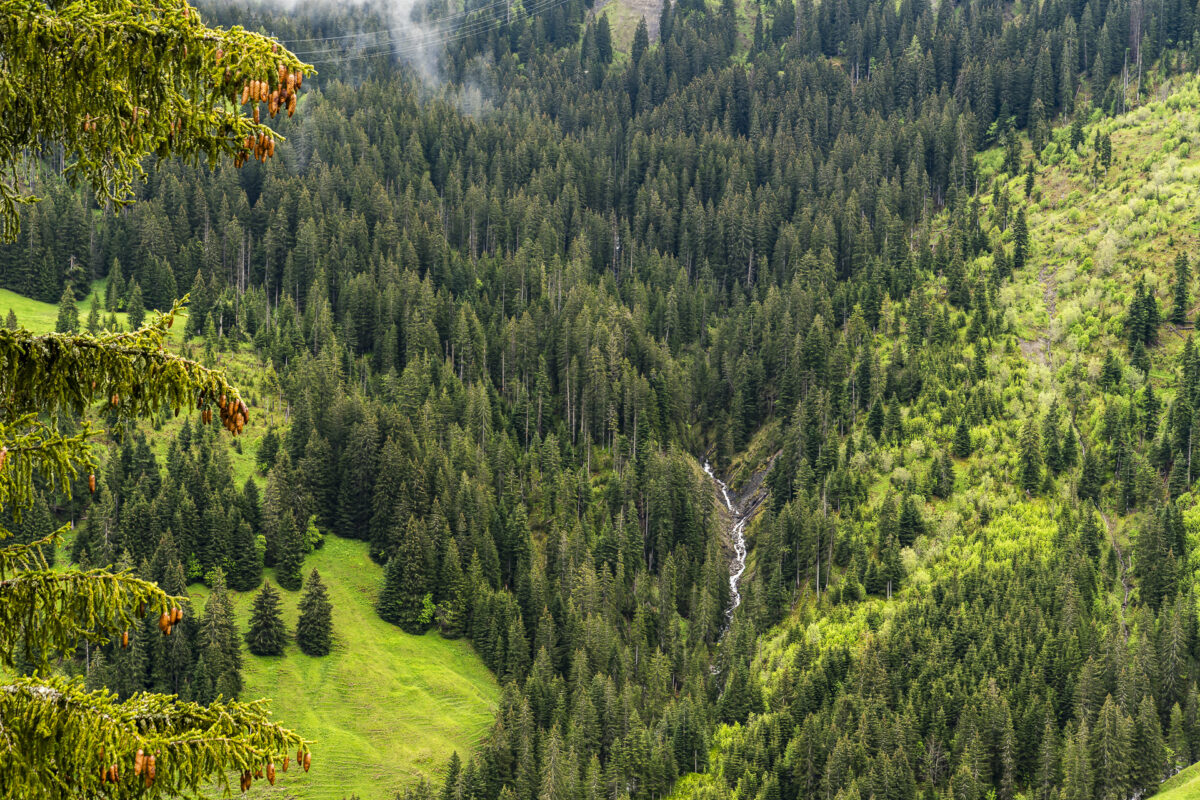 Abländschen Tallandschaft