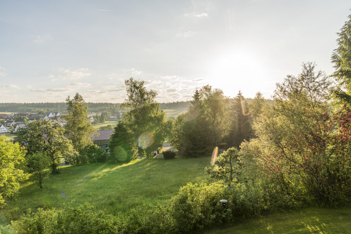 Sonnenaufgang Seewald