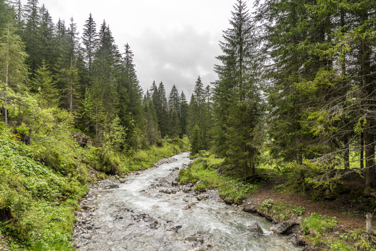 Turbach Fluss