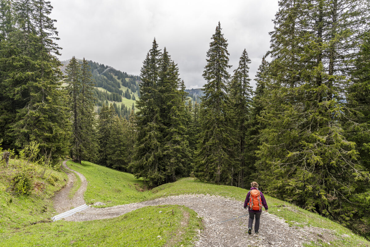 Abstieg Mittelberg