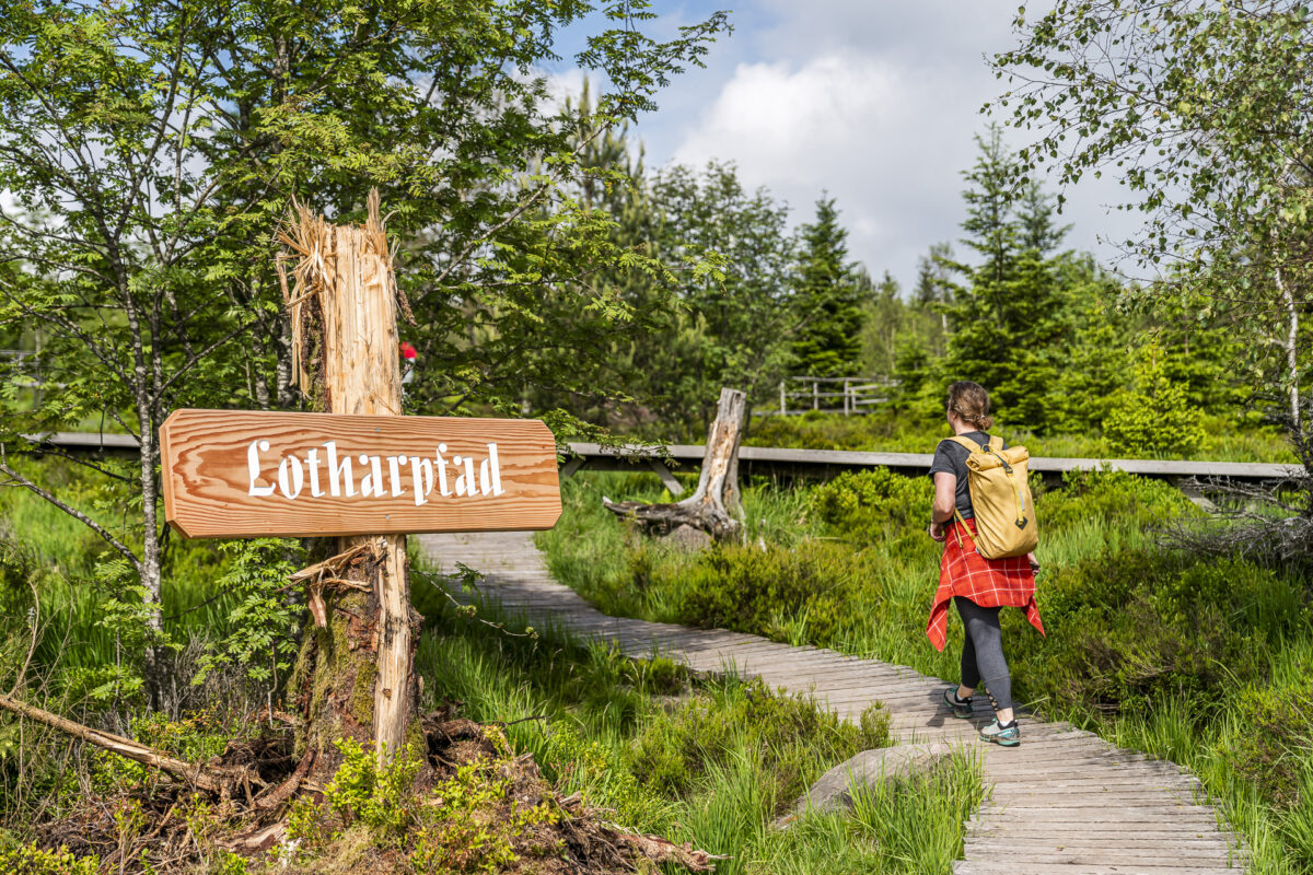 Lotharpfad Schwarzwald
