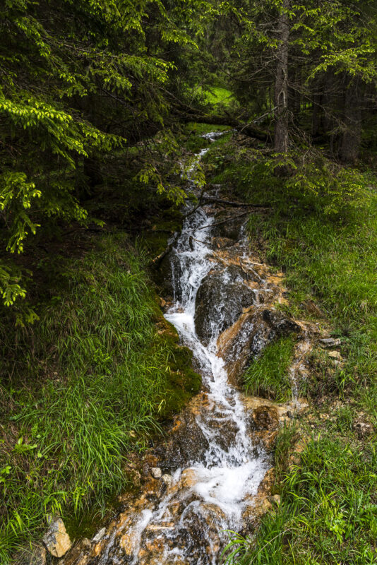 Bergbach Turbachtal