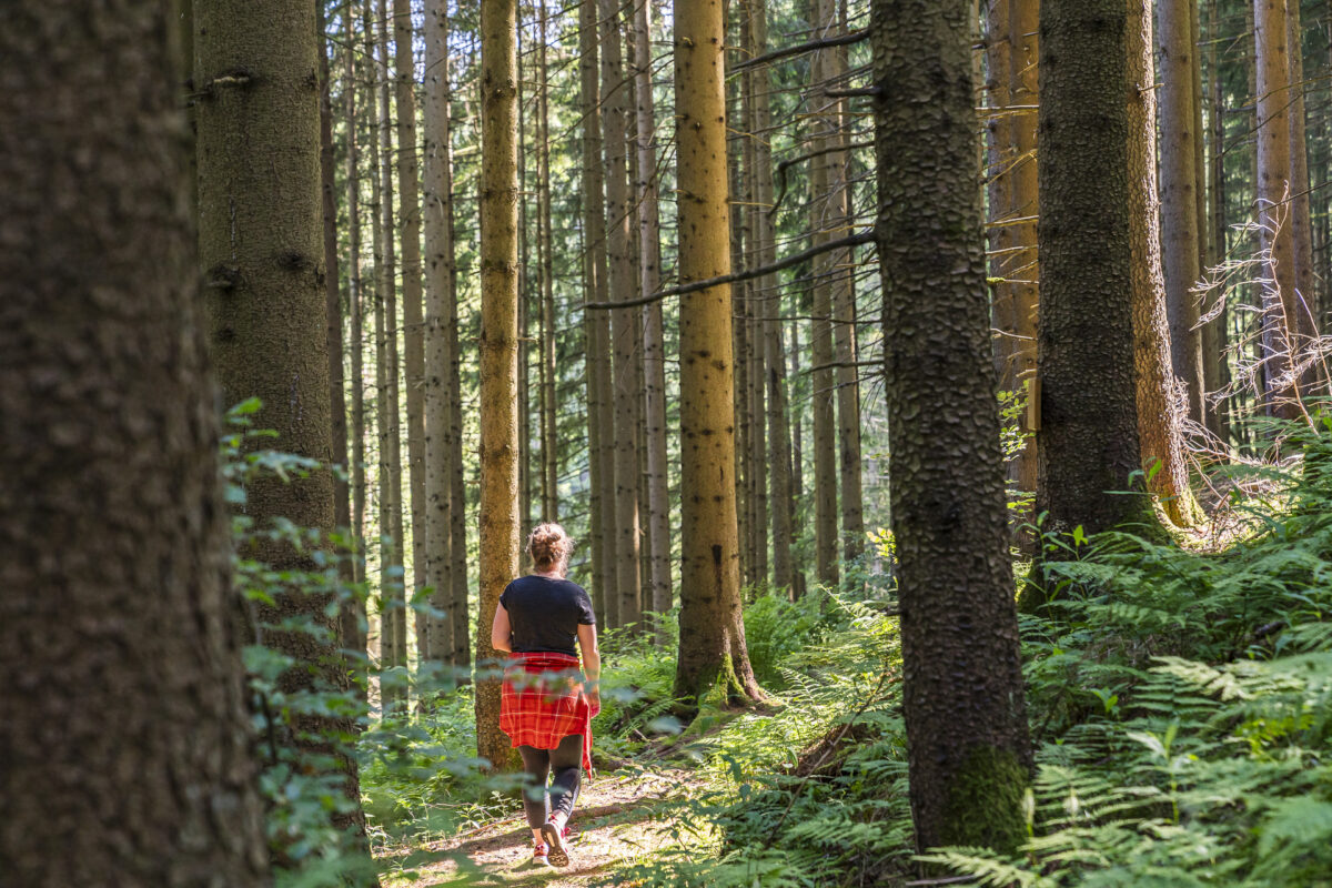 Taubentalweg Schwarzwald