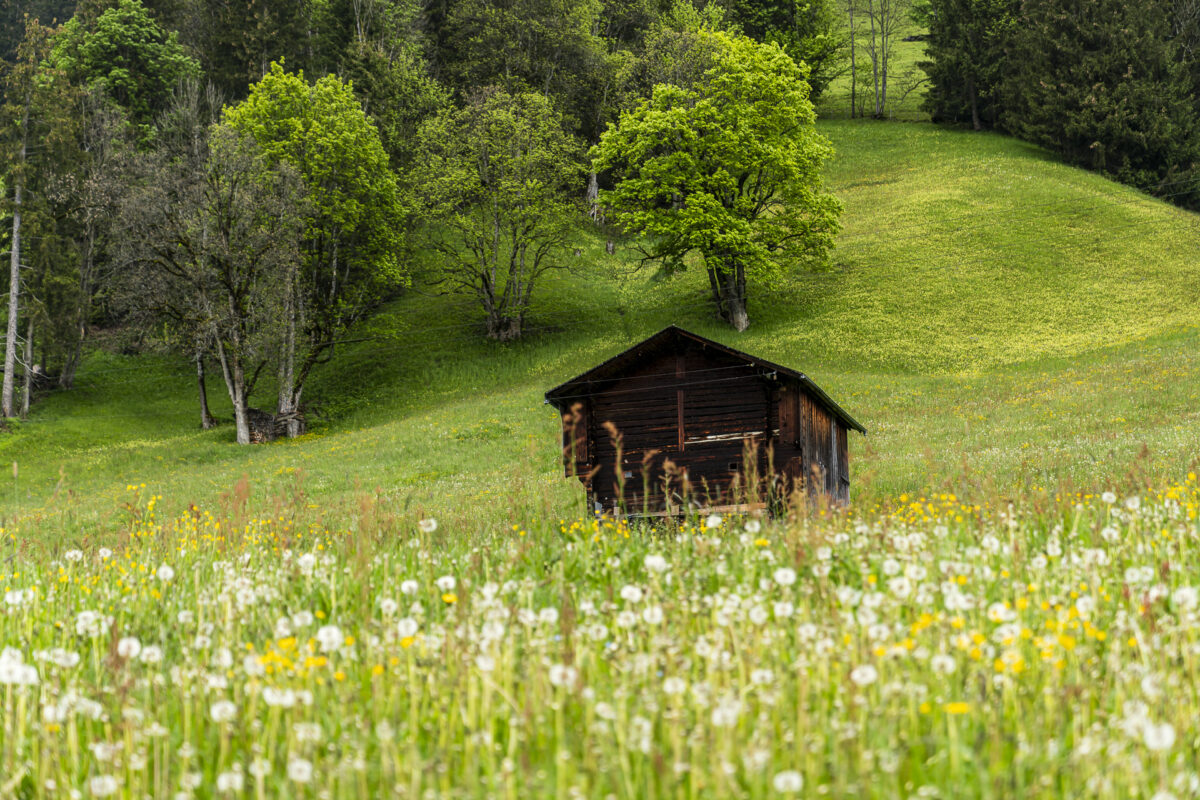 Turbachtal Landschaft