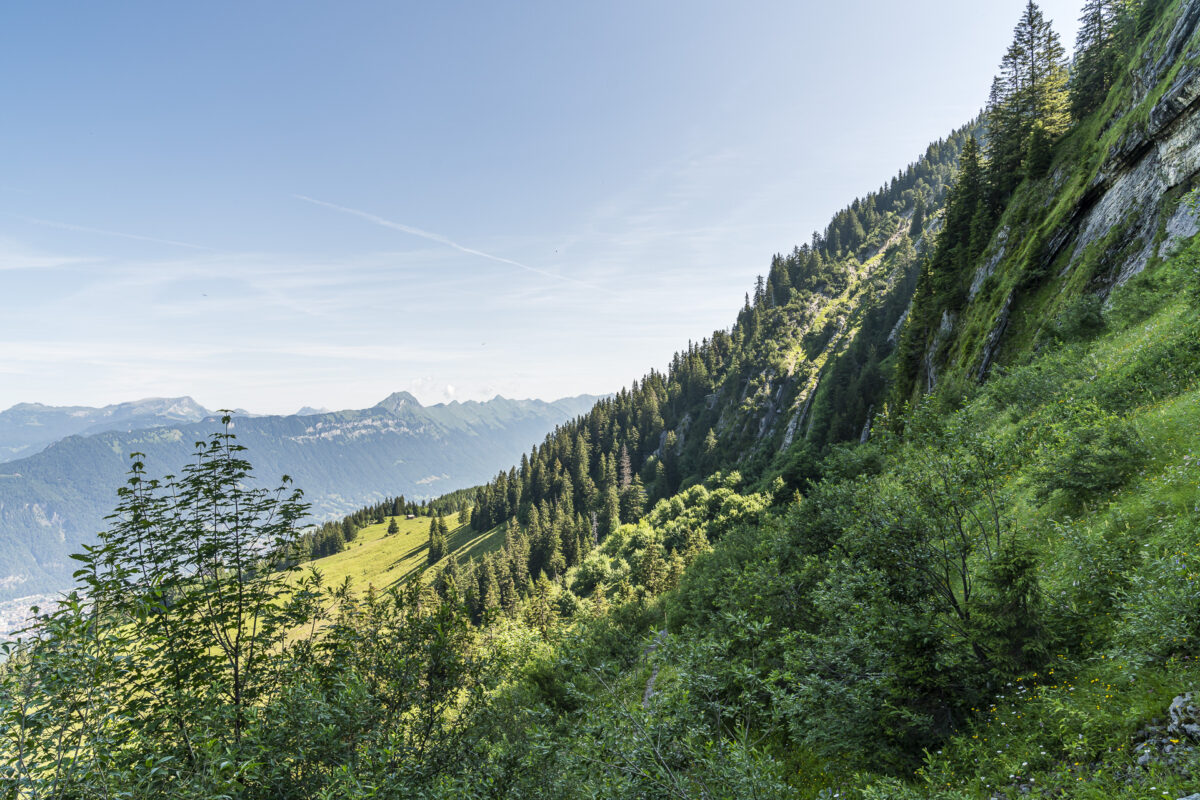 Aufstieg von Saxeten auf die Alp Bällen