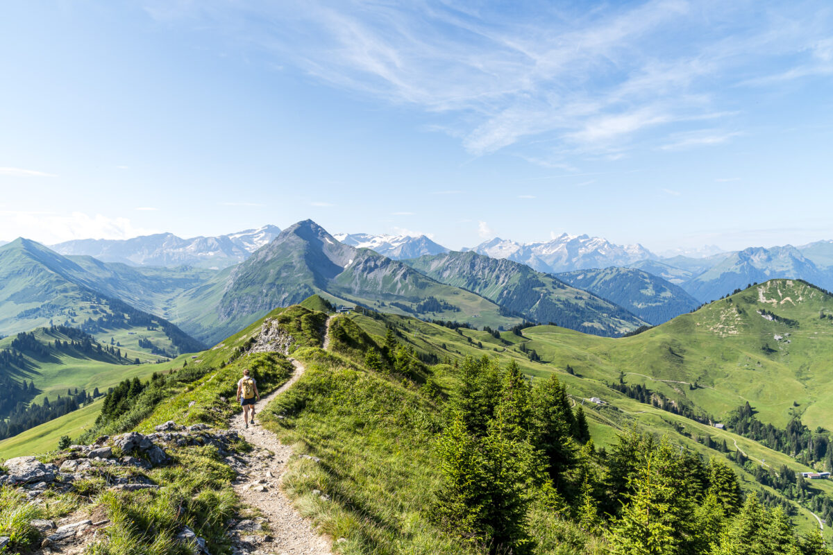 Wanderung auf dem Horneggli-Rundweg