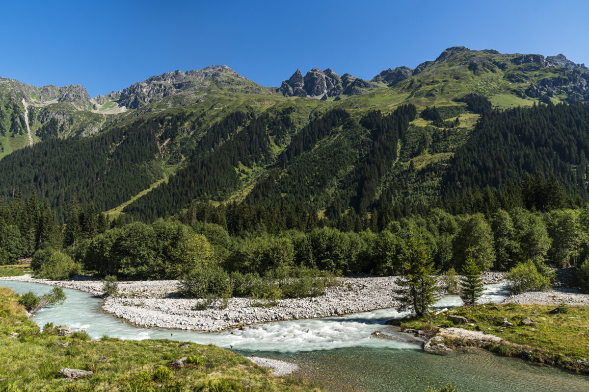 Mündung Landquart und Vereinabach