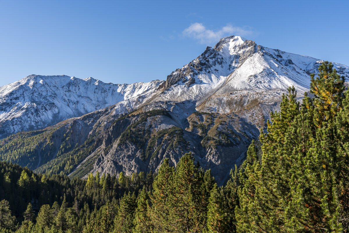 Landschaft Nationalpark Schweiz