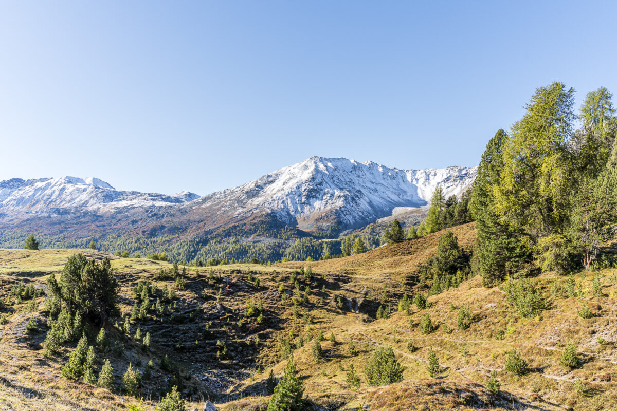 Landschaft im Münsteral