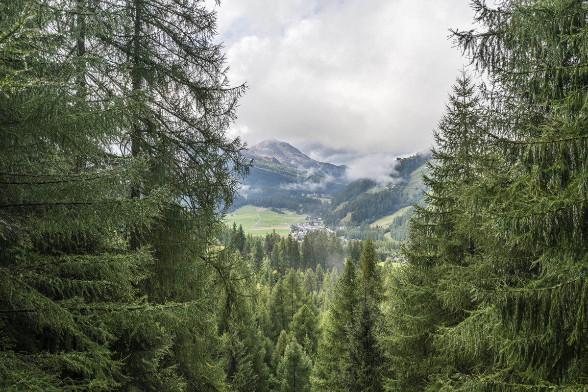 Blick auf Sta. Maria