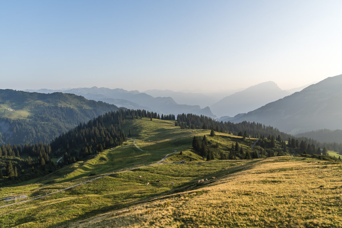 Aussicht von der Schesaplanahütte