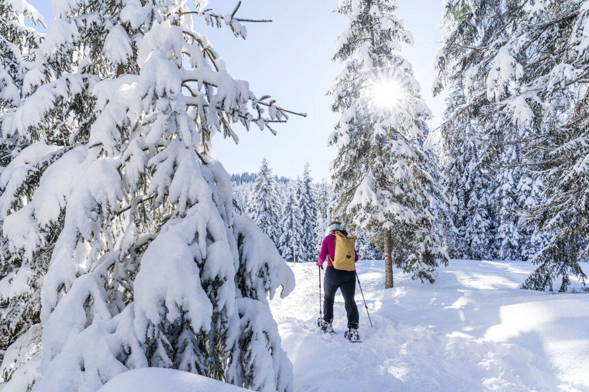 Schneeschuwanderung in der Mythenregion