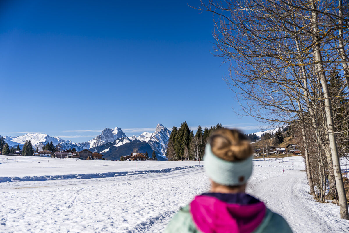Winterwandern in Saanenmöser