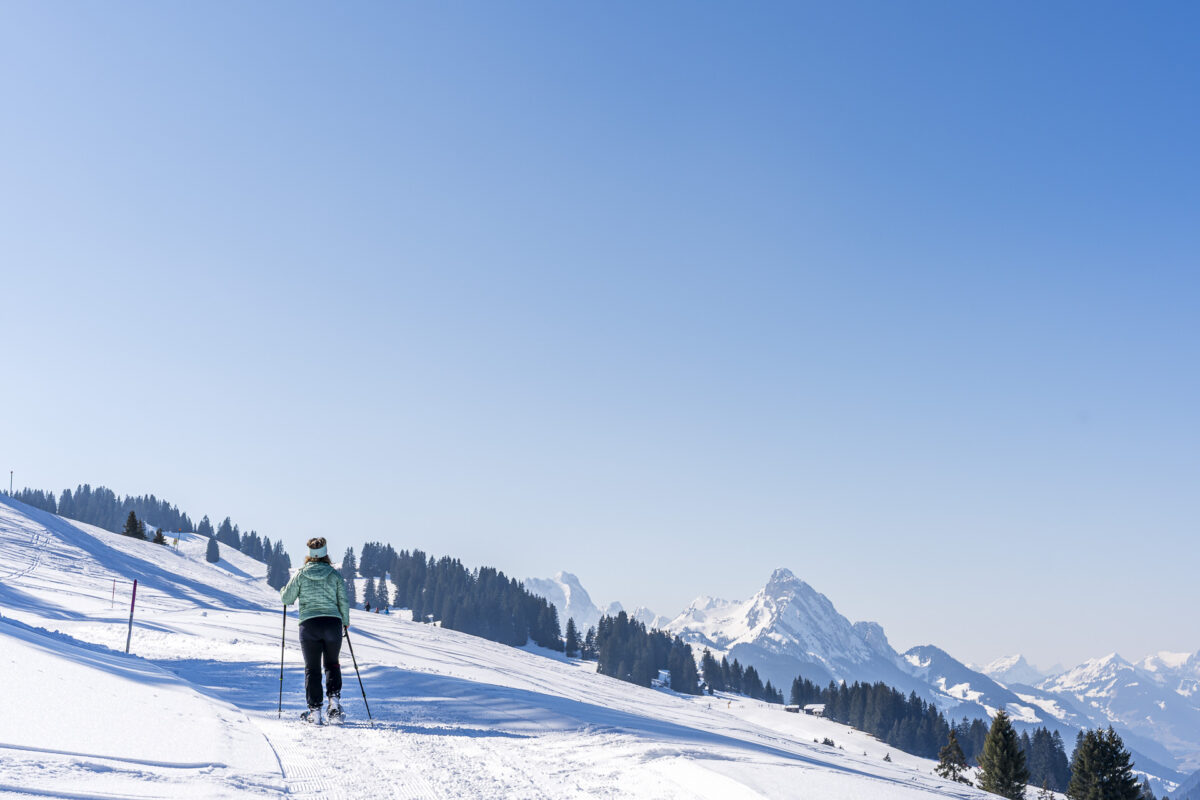 Schneeschuhtrail Saanenmöser
