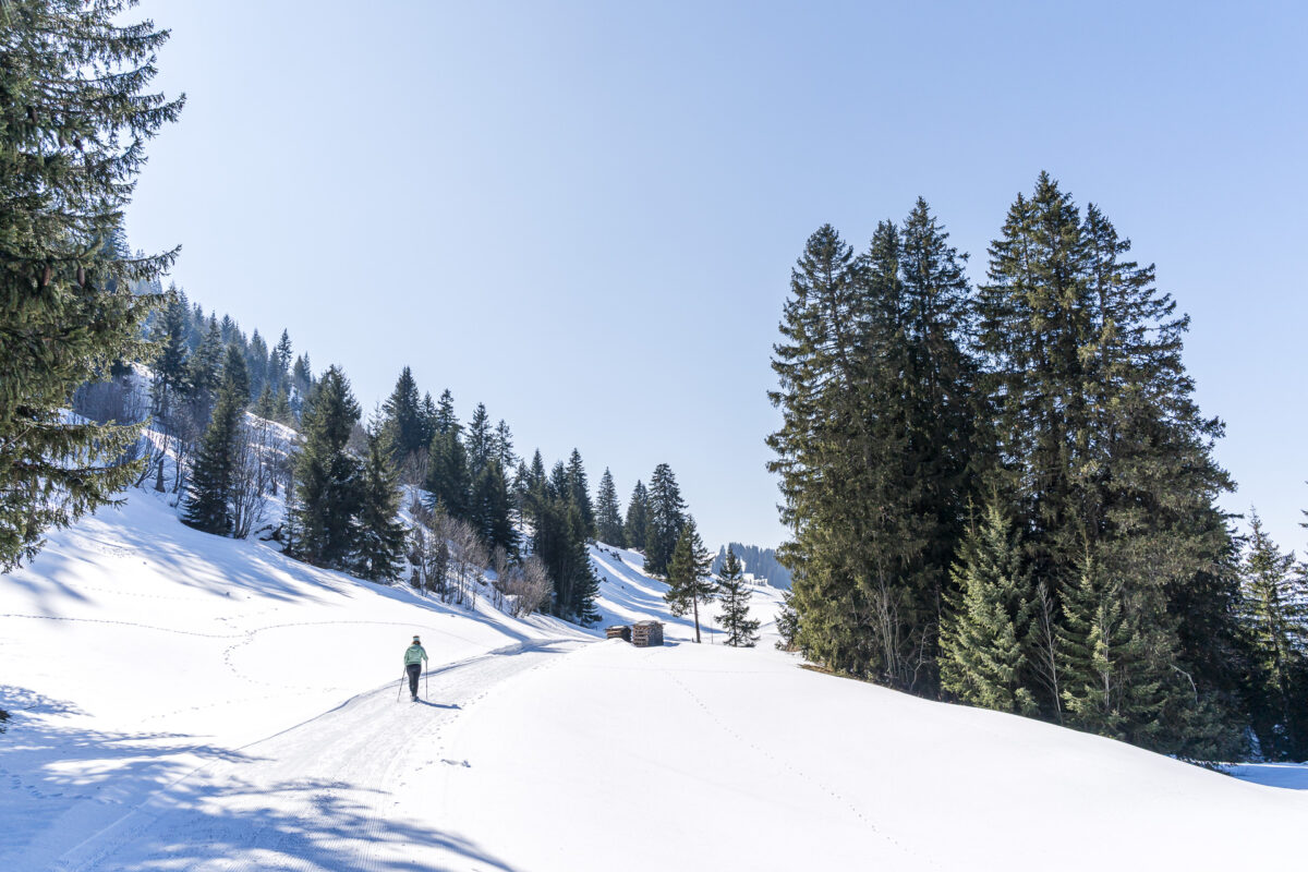 Schneeschuhwandern in Saanenmöser