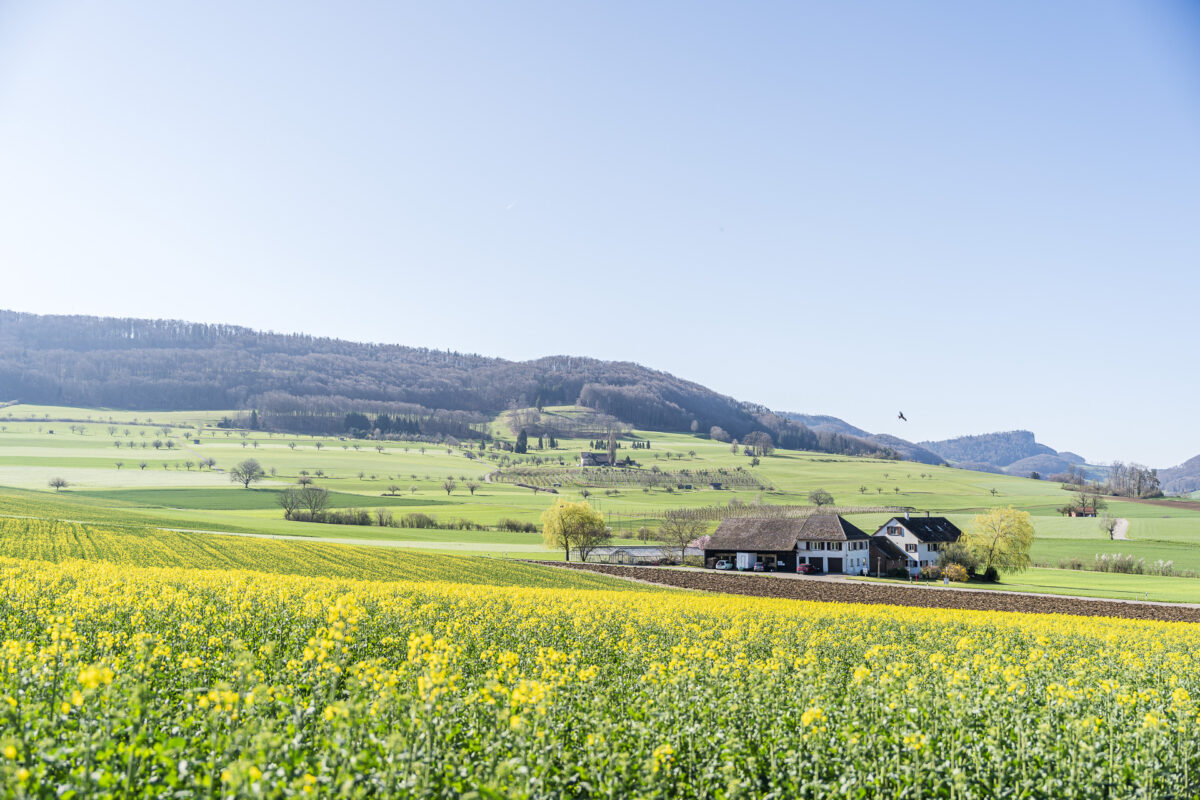 Baselbiet Landschaft