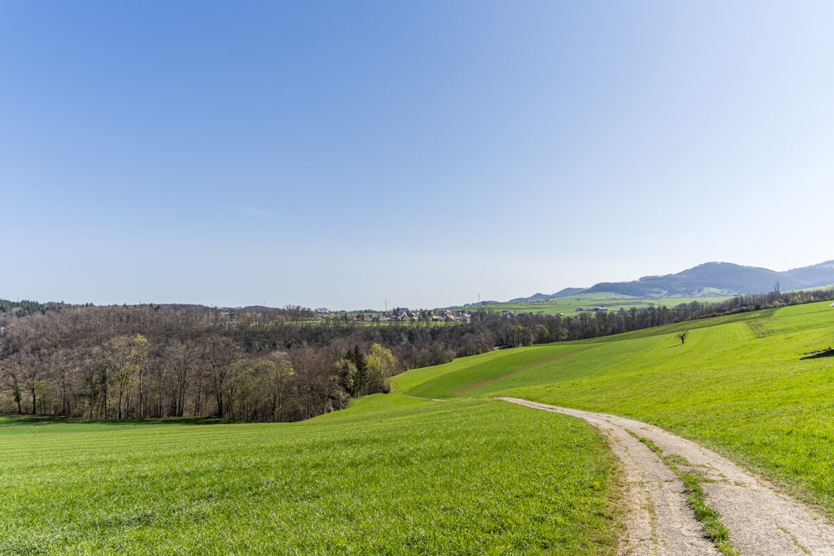 Wandern im Baselland