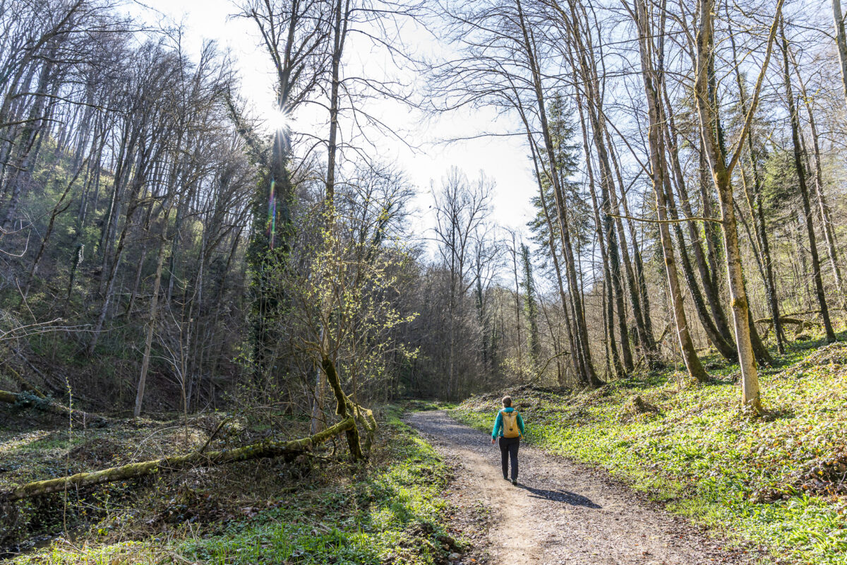 Naturschutzgebiet Thalweier Anwil