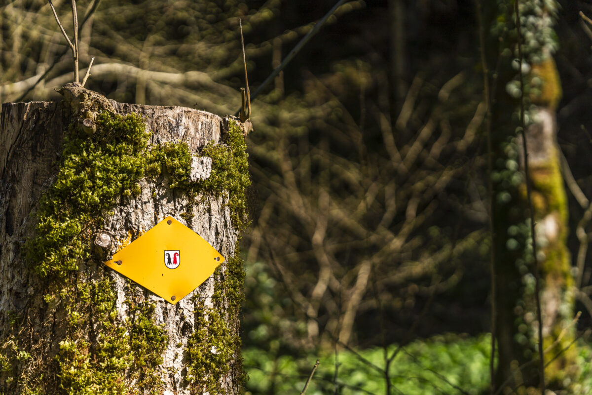 Wanderwegweiser im Baselland