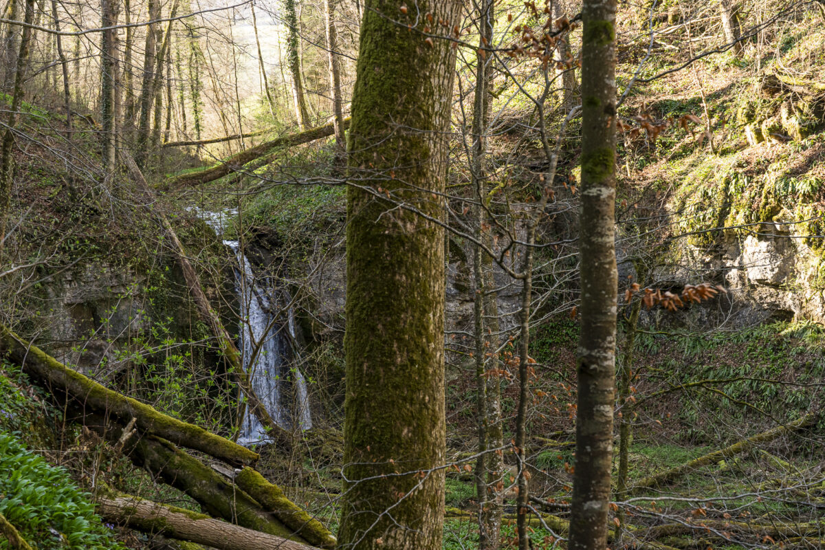 Wasserfall im Oberlauf vom Ergolz