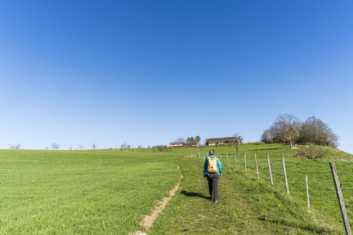 Wanderung Baselbieter Chrisiweg