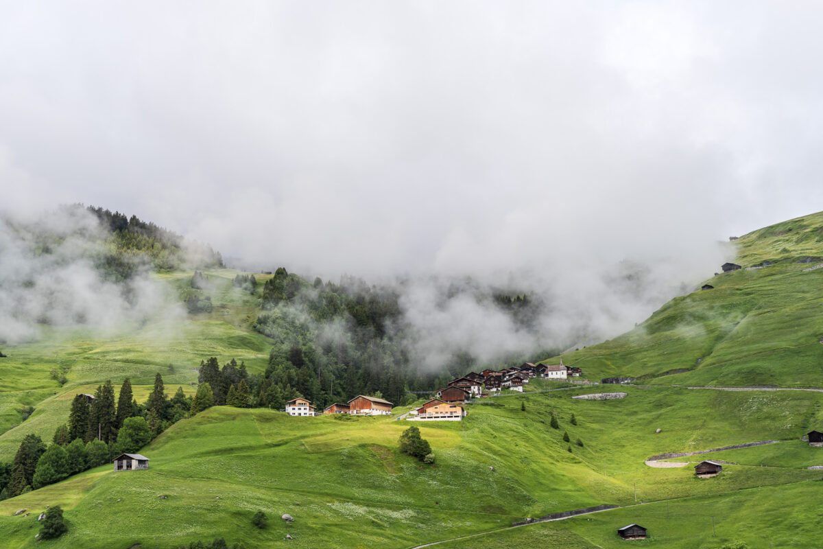 Mutschnengia