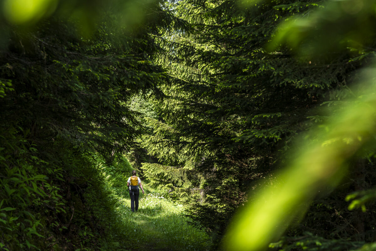 Wanderung von Sedrun nach Rueras
