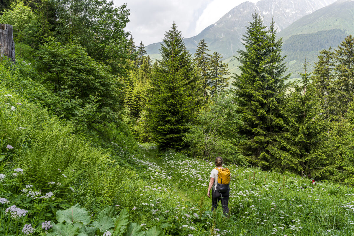 Walserweg Gottardo Sedrun