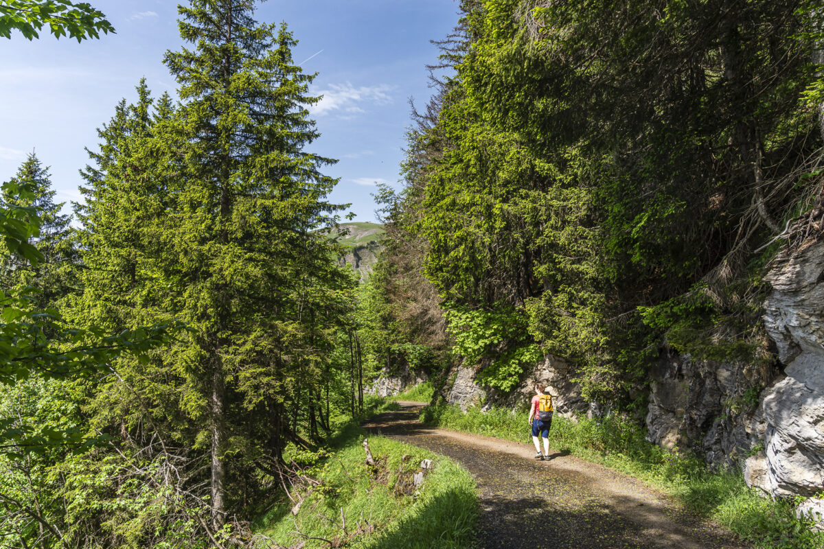 Wanderweg zur Seilbahn Lungern-Turren