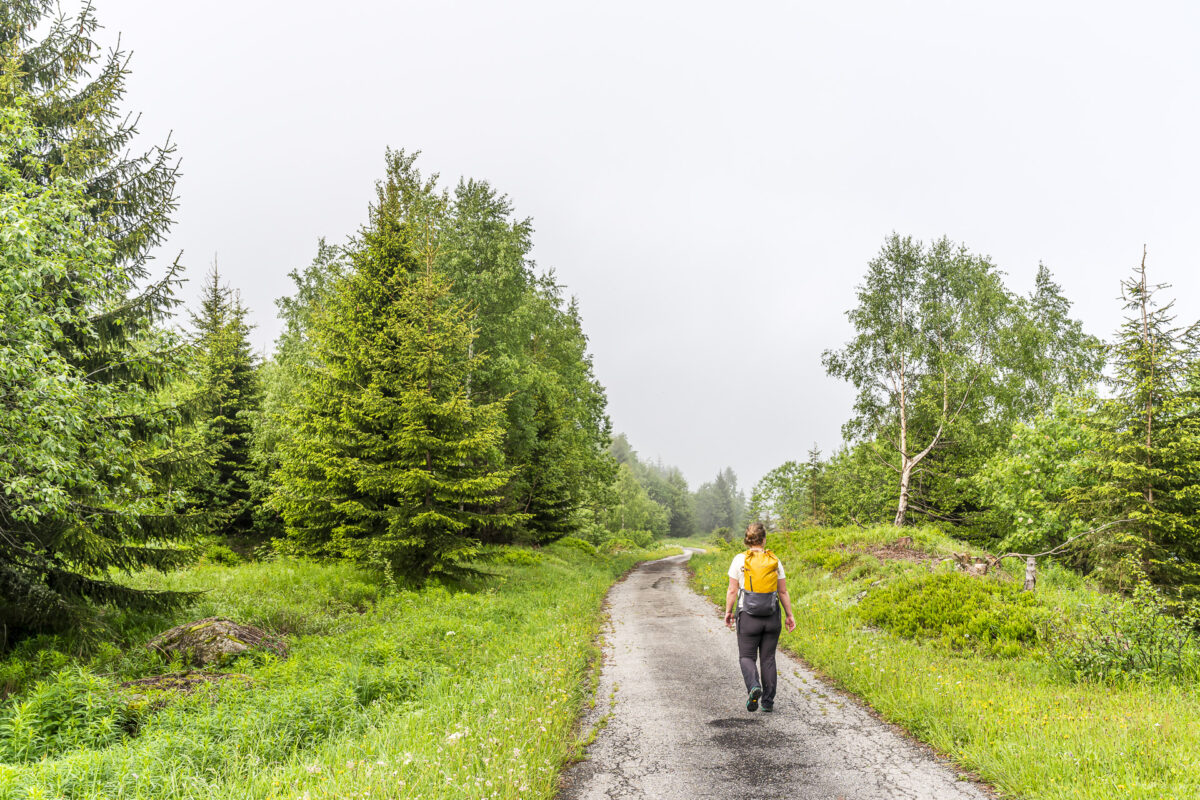 Wanderweg Walserweg Gottardo