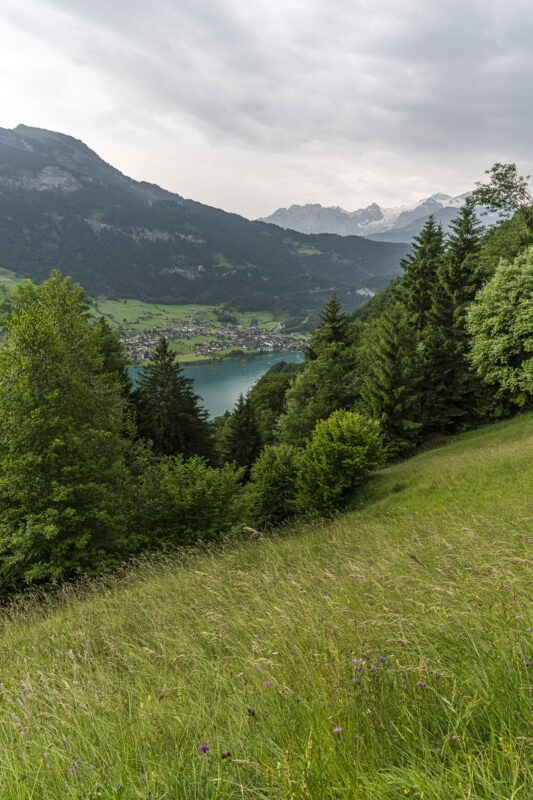 Aussicht auf den Lungernsee