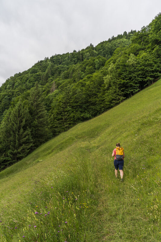 Wanderung auf dem Schmetterlingspfad