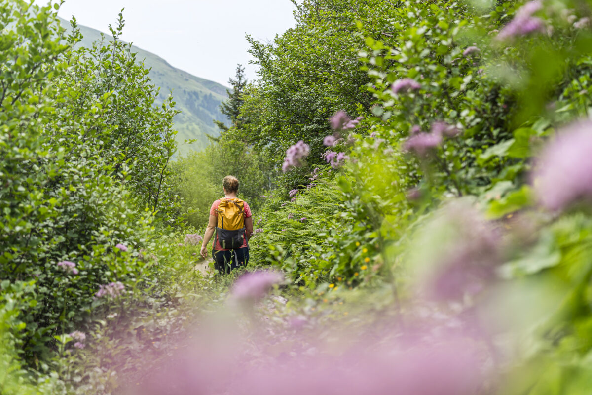 Bergwanderweg Val Frisal