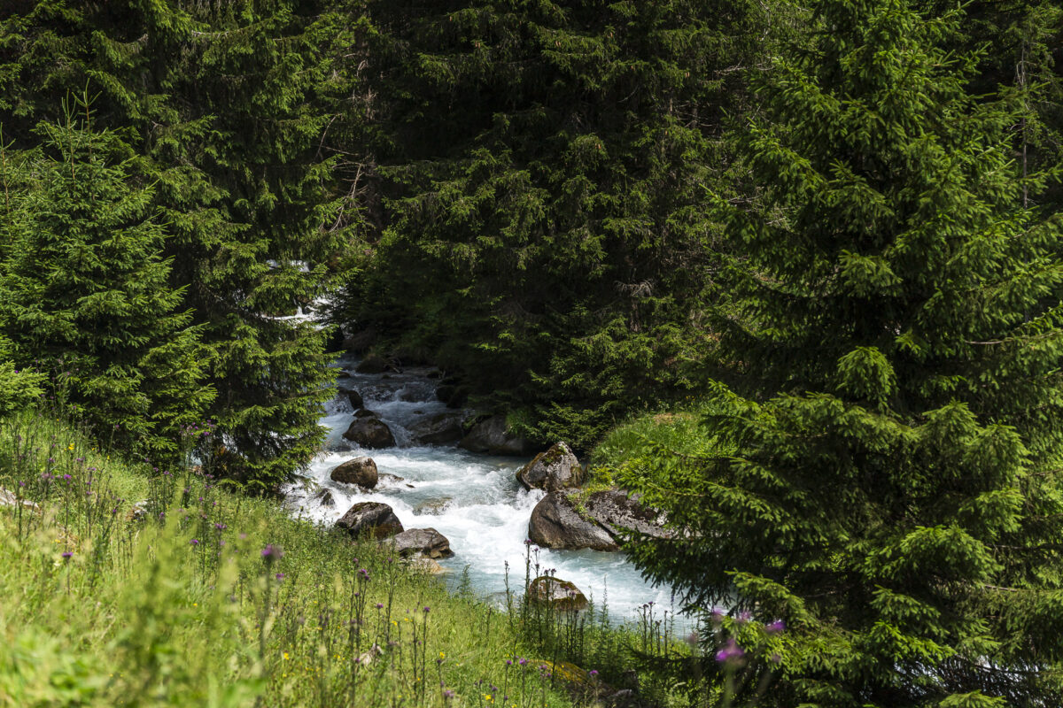 Flem bei Brigels