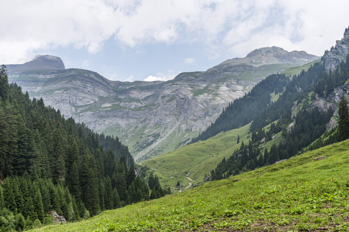 Blick Richtung Val Frisal